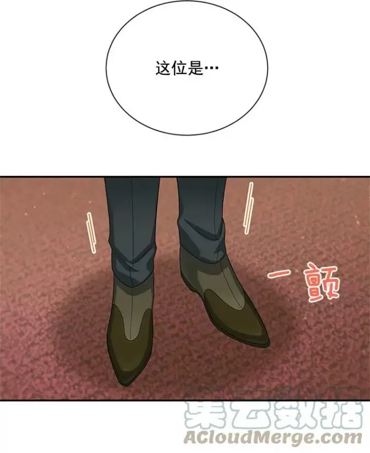 《虚名的公爵之妻》54.公主出马图45