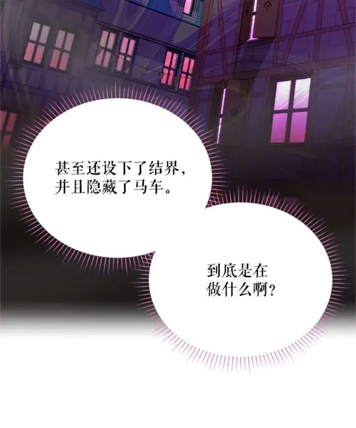 《虚名的公爵之妻》62.偶遇故人图39