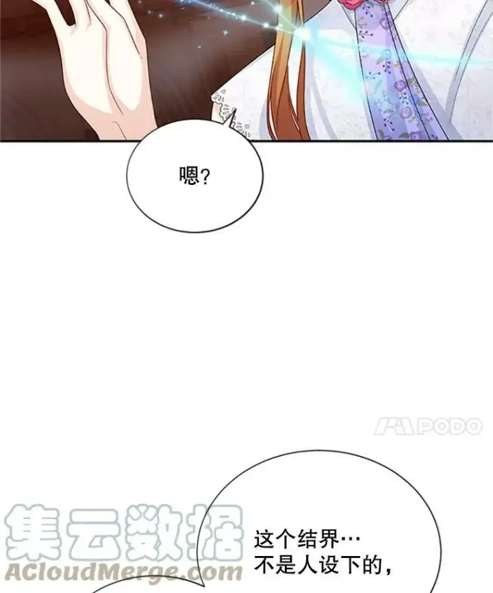 《虚名的公爵之妻》62.偶遇故人图41