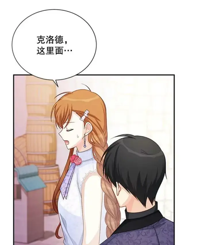 《虚名的公爵之妻》62.偶遇故人图47