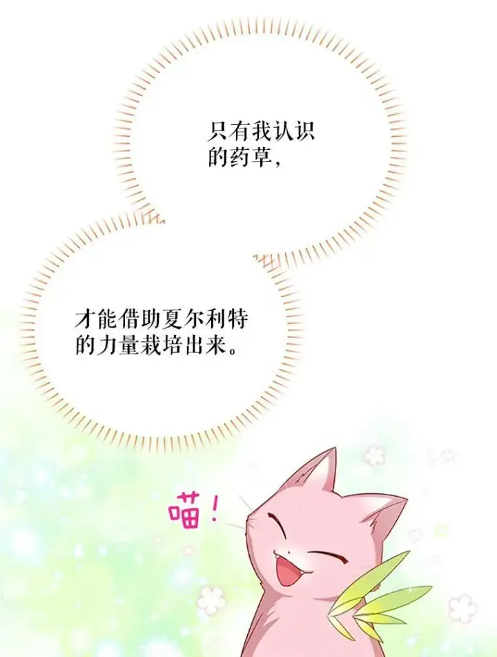 《虚名的公爵之妻》62.偶遇故人图6