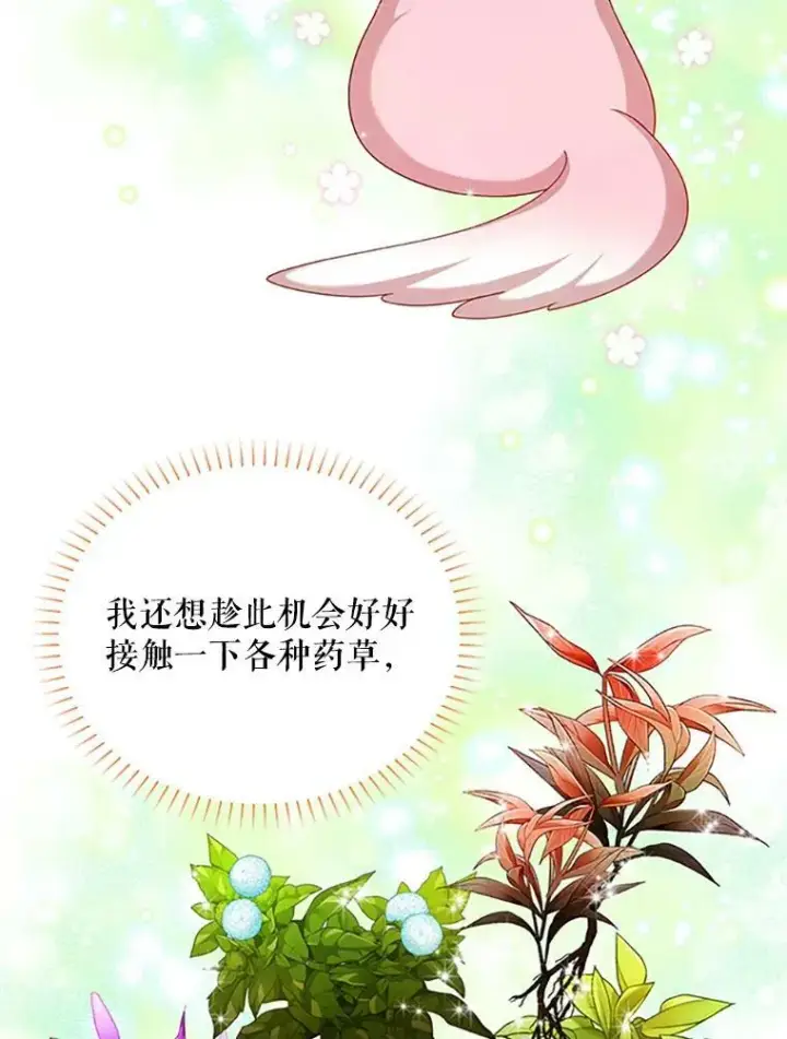 《虚名的公爵之妻》62.偶遇故人图7