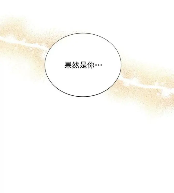《虚名的公爵之妻》62.偶遇故人图71