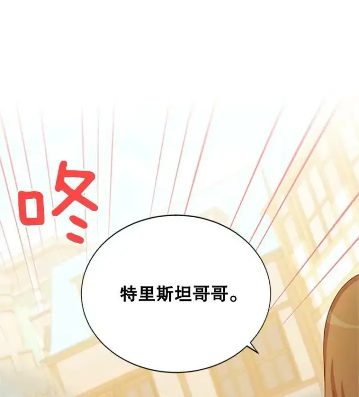 《虚名的公爵之妻》62.偶遇故人图72