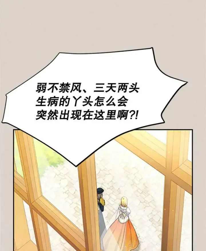 《虚名的公爵之妻》62.偶遇故人图78