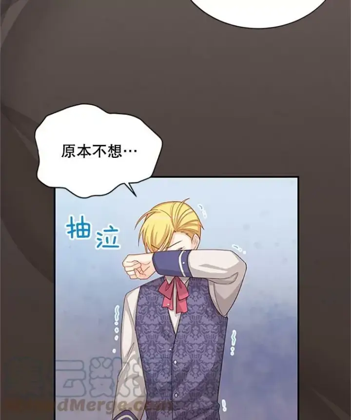 《虚名的公爵之妻》62.偶遇故人图89