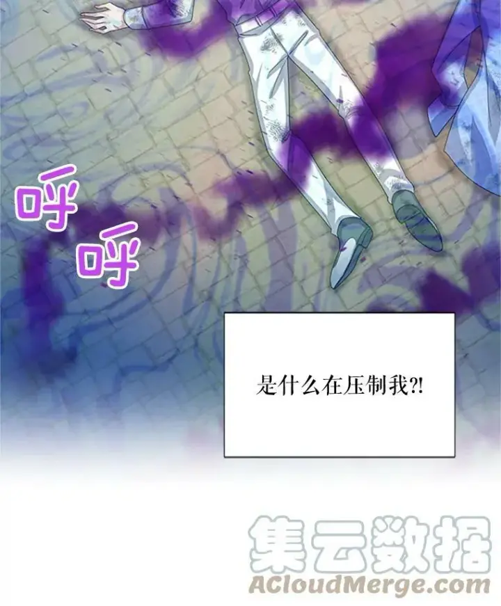 《虚名的公爵之妻》65.大打出手图21