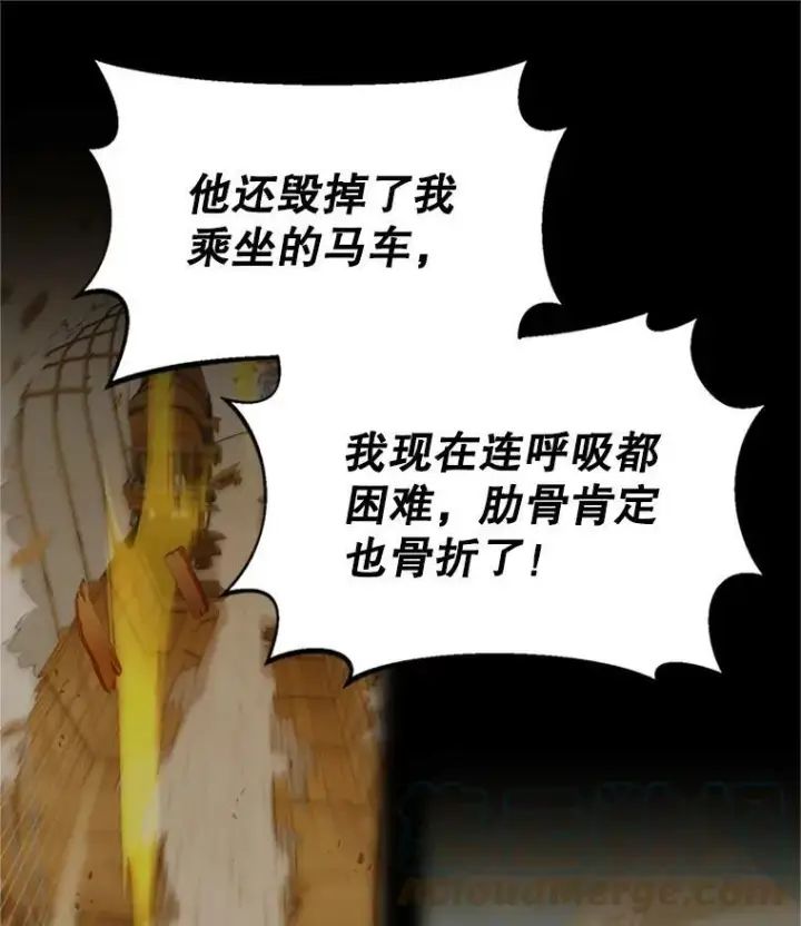 《虚名的公爵之妻》66.问罪图13