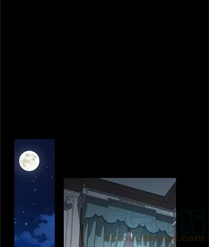 《虚名的公爵之妻》73.叛徒图101