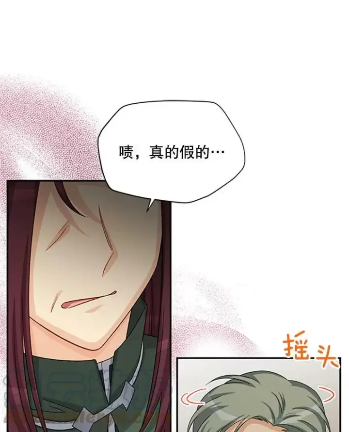 《虚名的公爵之妻》76.侦察图13