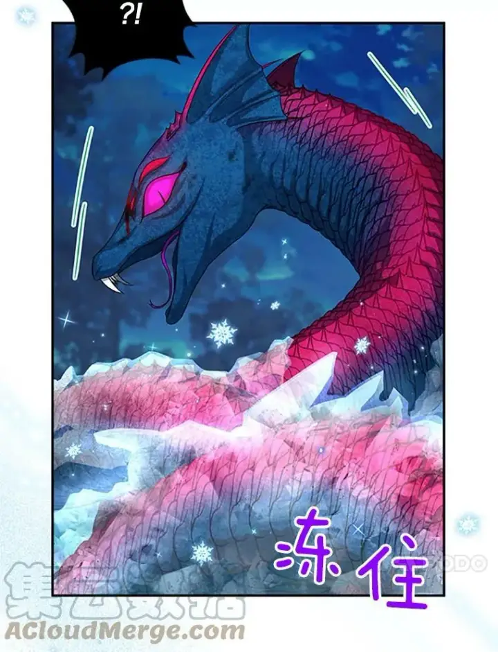 《虚名的公爵之妻》79.单独行动图25