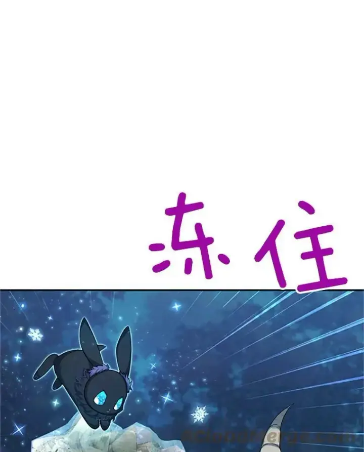 《虚名的公爵之妻》79.单独行动图73