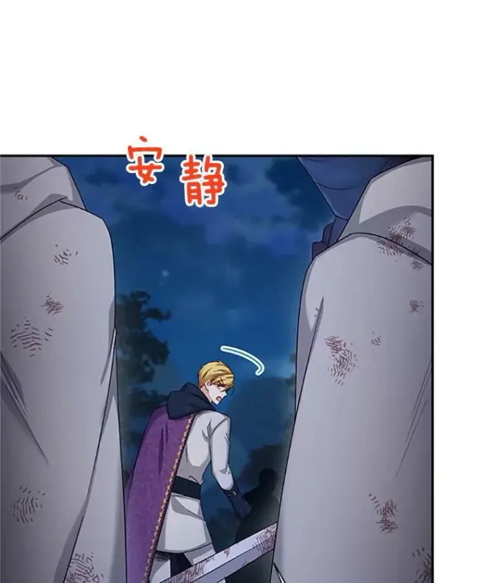 《虚名的公爵之妻》80.加斯帕的新影子图107