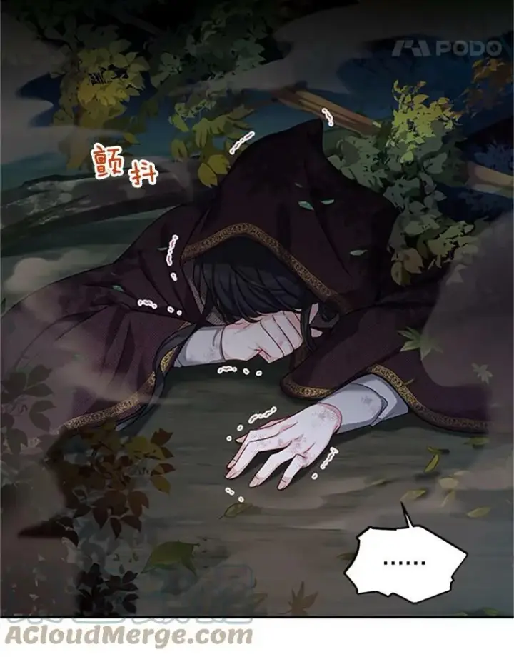 《虚名的公爵之妻》80.加斯帕的新影子图61