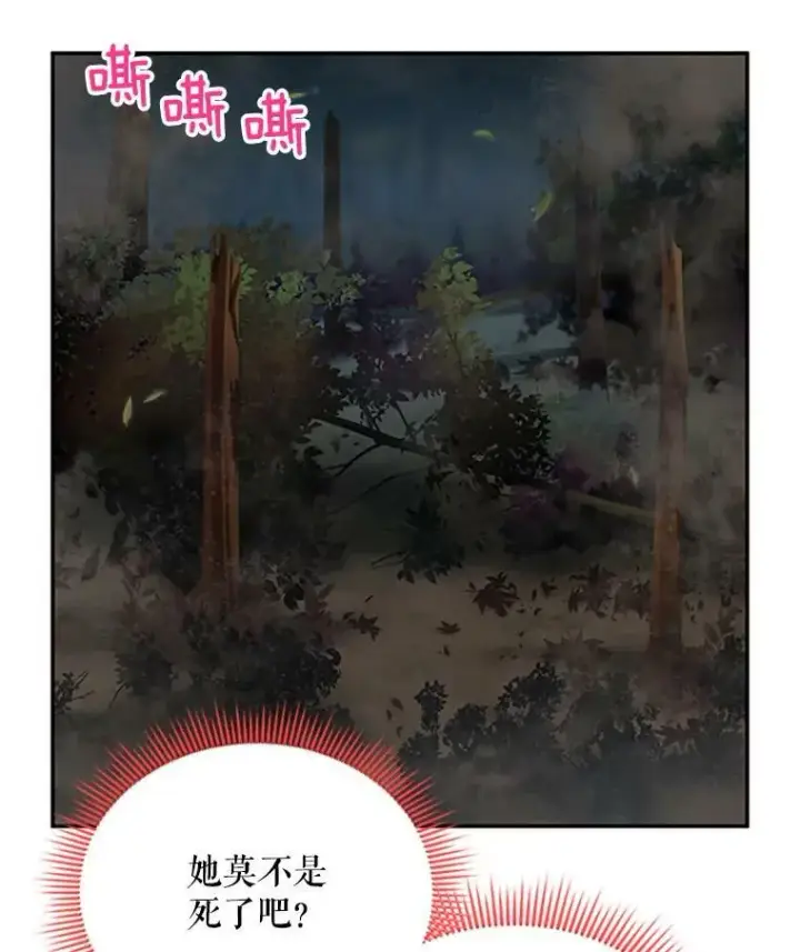 《虚名的公爵之妻》80.加斯帕的新影子图62