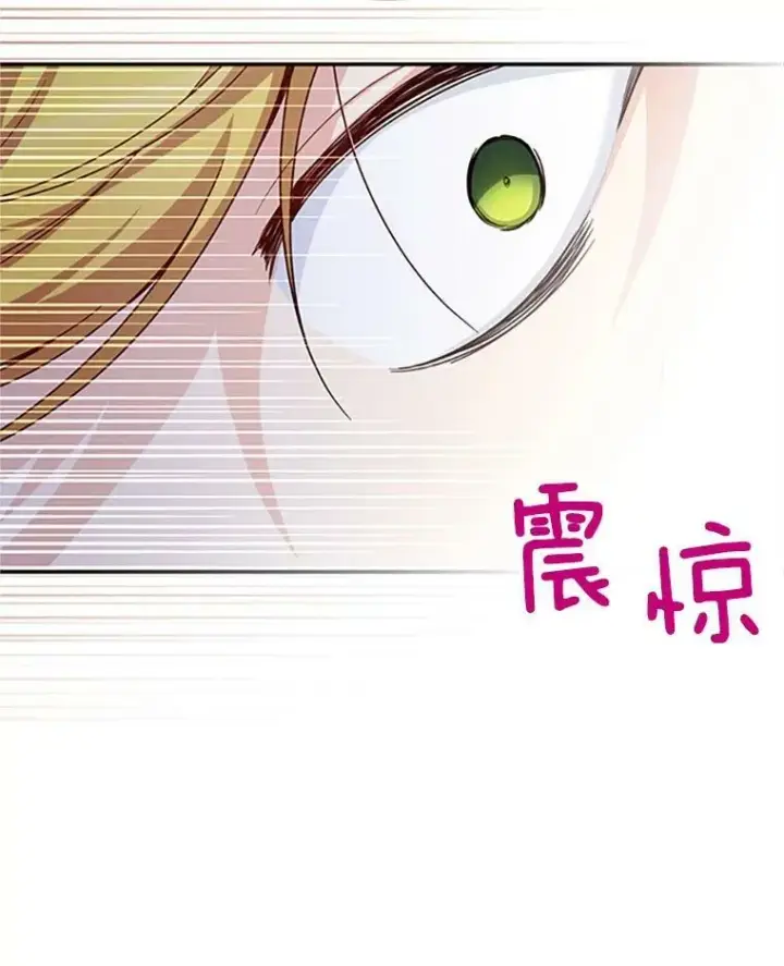 《虚名的公爵之妻》80.加斯帕的新影子图74