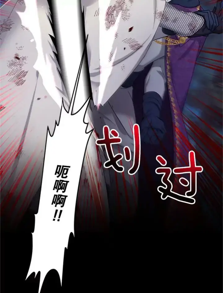 《虚名的公爵之妻》81.心灰意冷的骑士图12