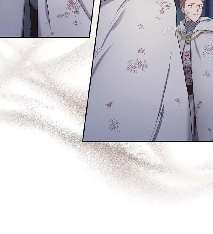 《虚名的公爵之妻》81.心灰意冷的骑士图21