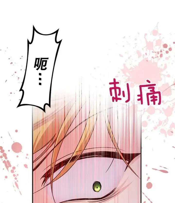 《虚名的公爵之妻》81.心灰意冷的骑士图29