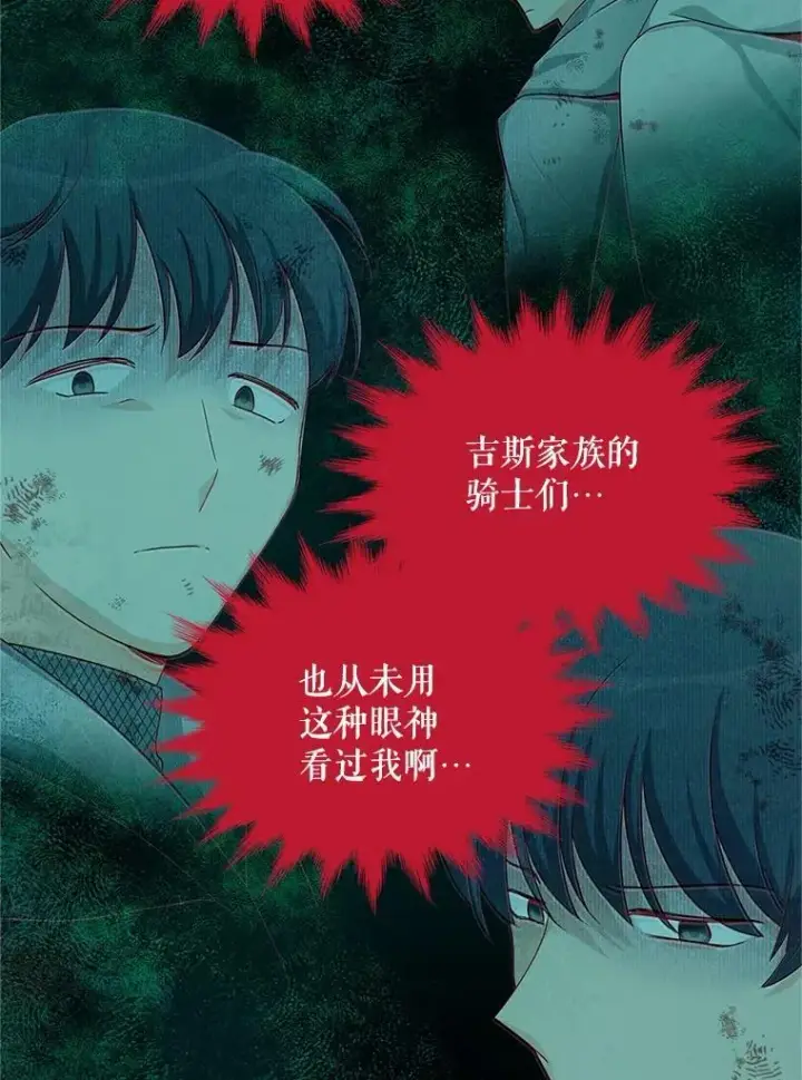《虚名的公爵之妻》81.心灰意冷的骑士图39