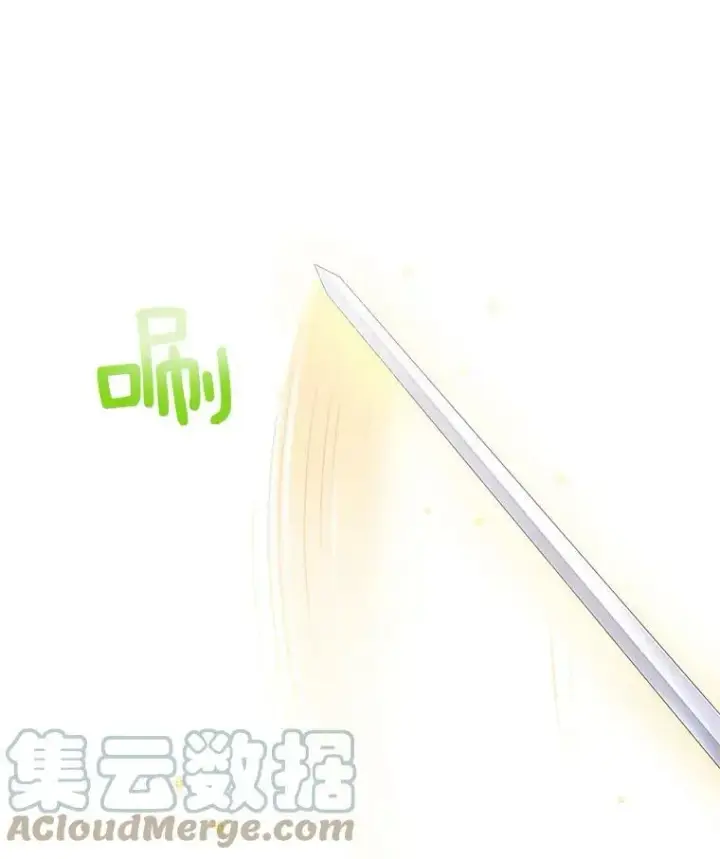 《虚名的公爵之妻》81.心灰意冷的骑士图46