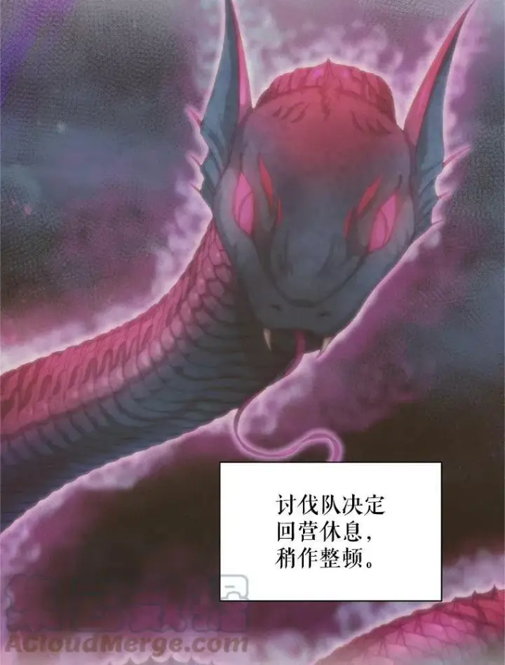 《虚名的公爵之妻》81.心灰意冷的骑士图61