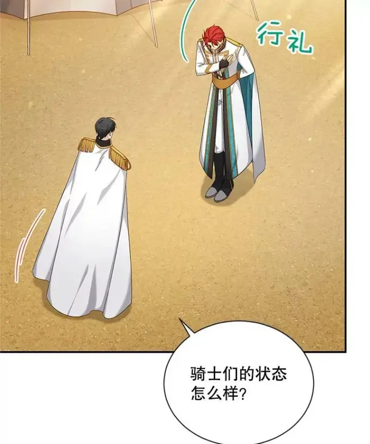 《虚名的公爵之妻》81.心灰意冷的骑士图66