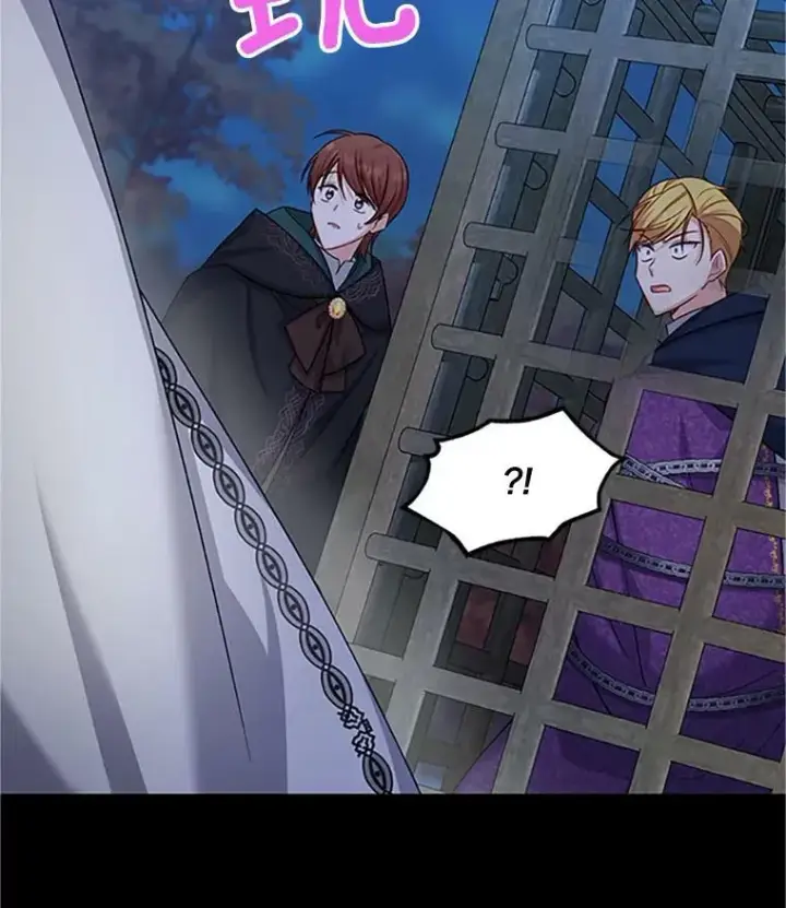 《虚名的公爵之妻》103.神秘人再出现图95