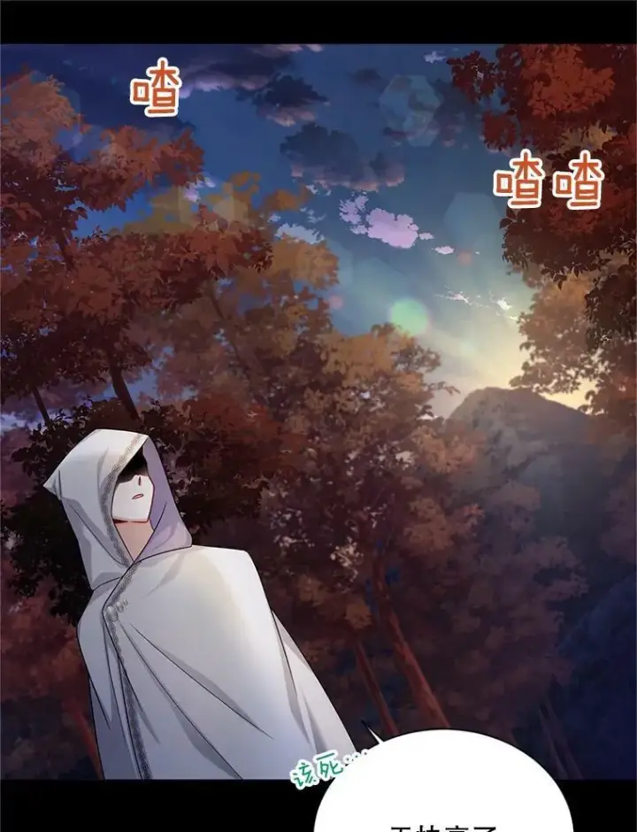 《虚名的公爵之妻》104.再逃跑图58