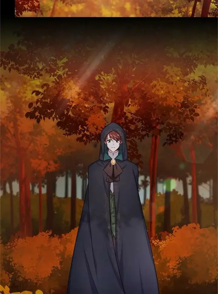 《虚名的公爵之妻》105.伊娃娜的堂哥图6