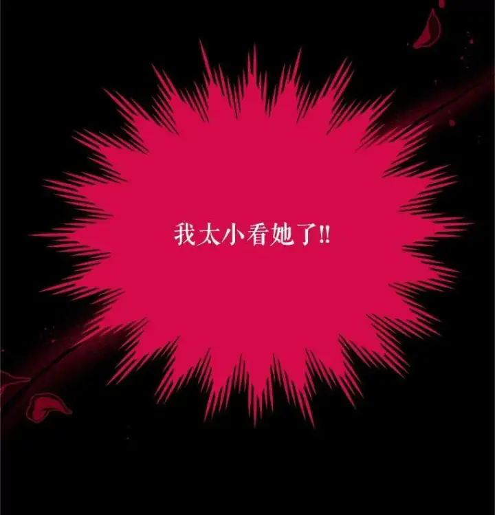 《虚名的公爵之妻》106.背叛图106