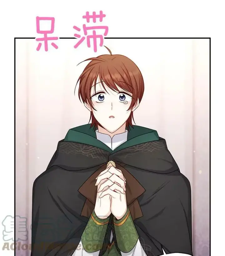《虚名的公爵之妻》106.背叛图25