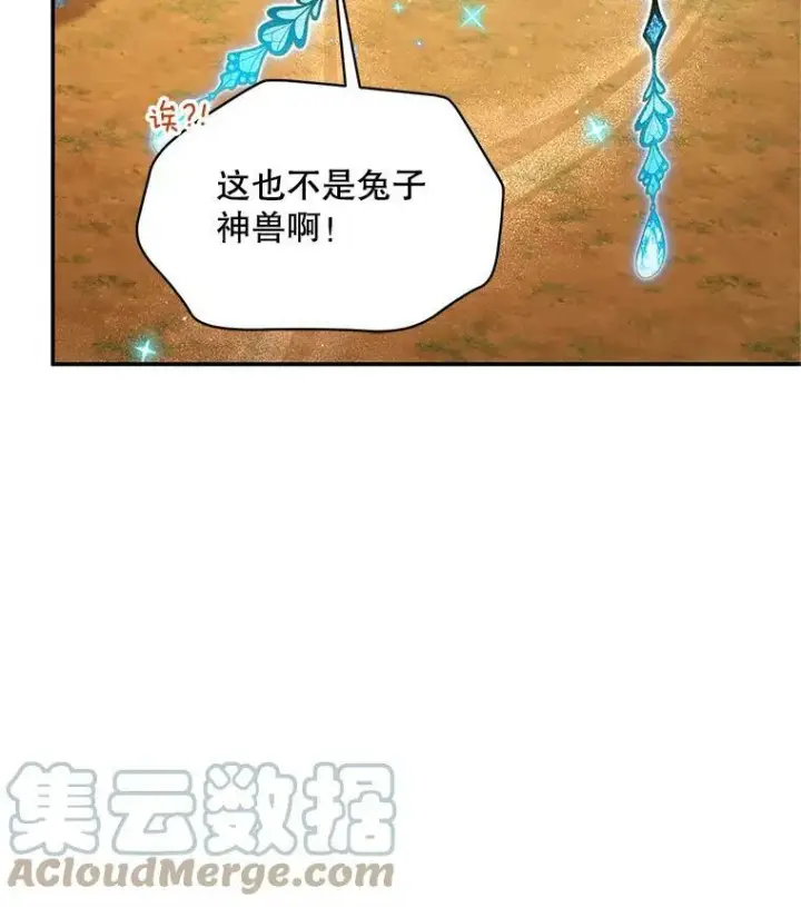 《虚名的公爵之妻》108.顶级召唤师图17