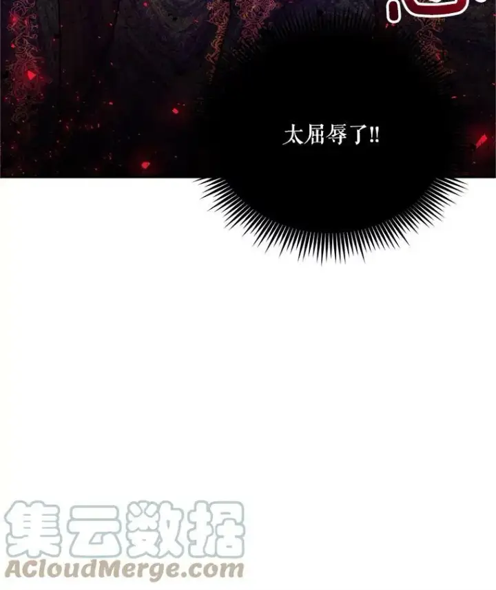 《虚名的公爵之妻》108.顶级召唤师图29
