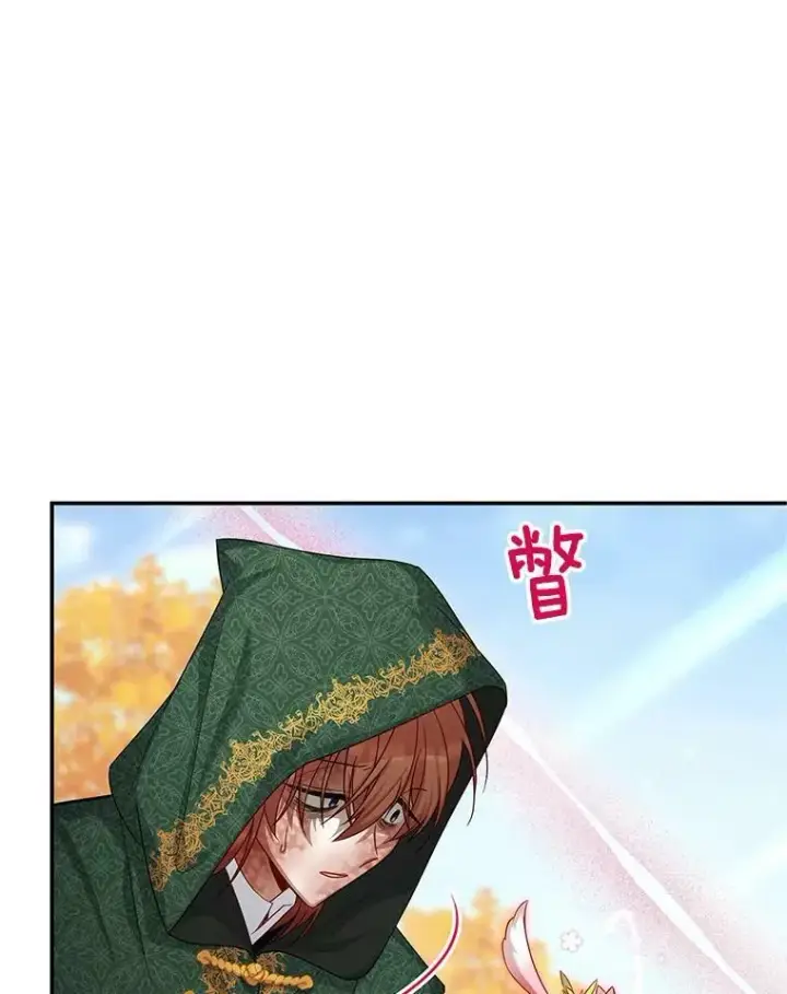 《虚名的公爵之妻》108.顶级召唤师图62