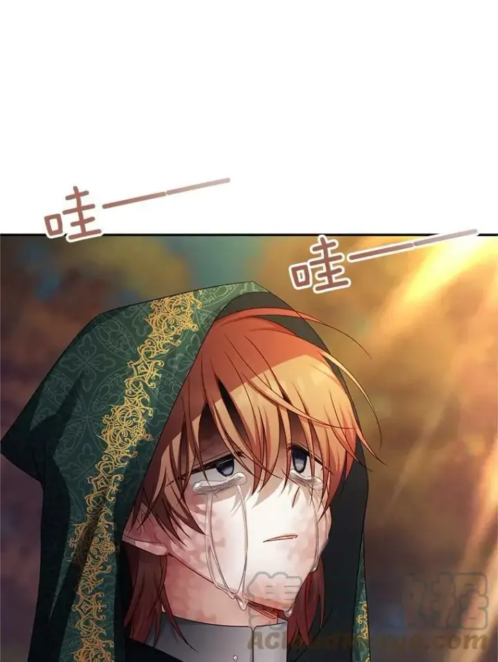 《虚名的公爵之妻》109.神兽之王卢修斯图101