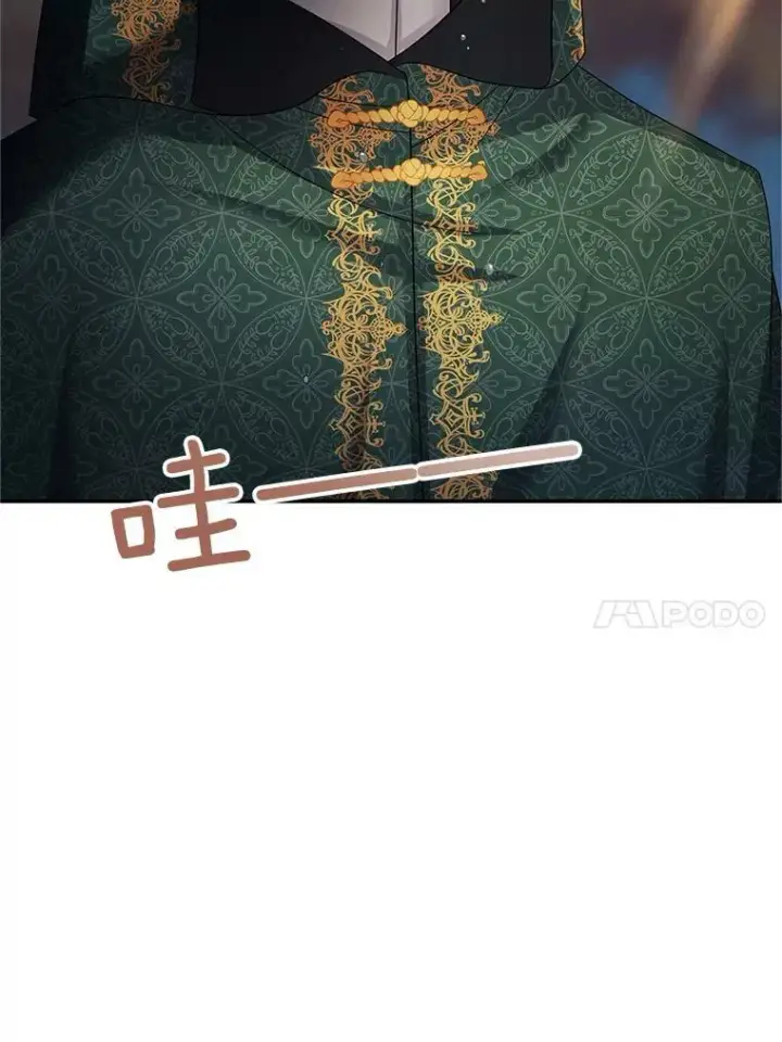 《虚名的公爵之妻》109.神兽之王卢修斯图102