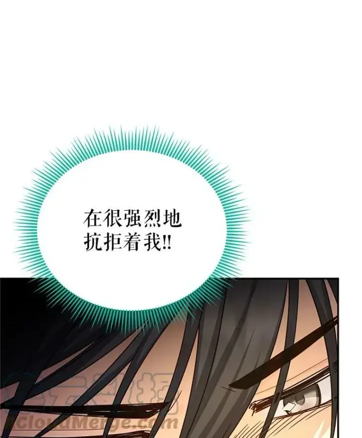 《虚名的公爵之妻》110.总司令现身图101