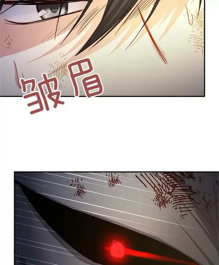 《虚名的公爵之妻》110.总司令现身图102