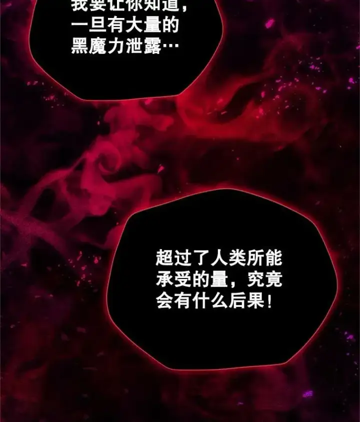 《虚名的公爵之妻》110.总司令现身图110
