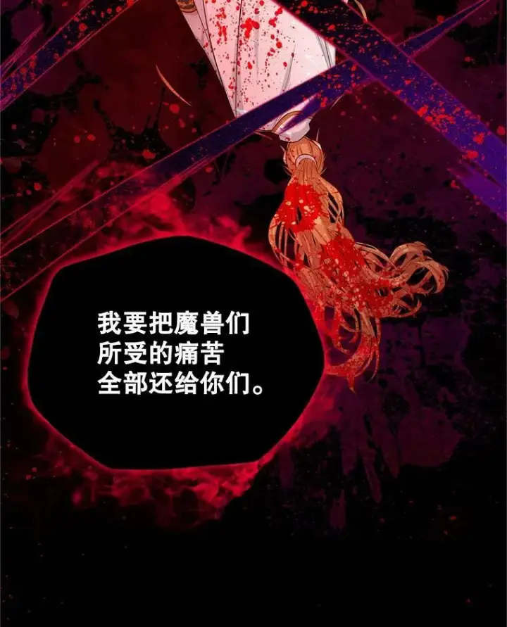 《虚名的公爵之妻》110.总司令现身图116