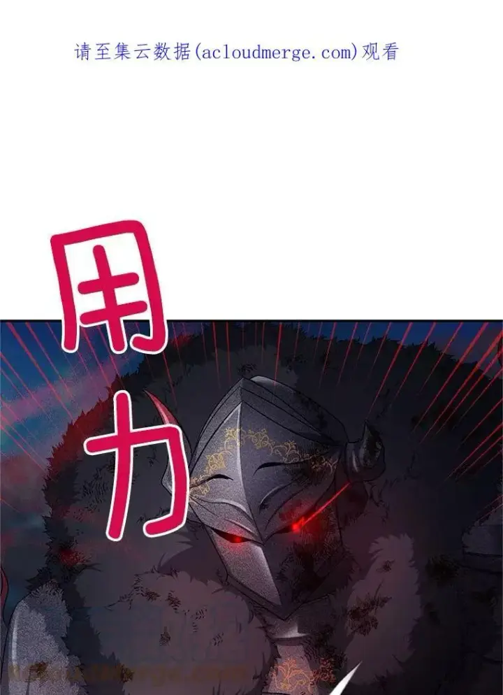 《虚名的公爵之妻》110.总司令现身图121