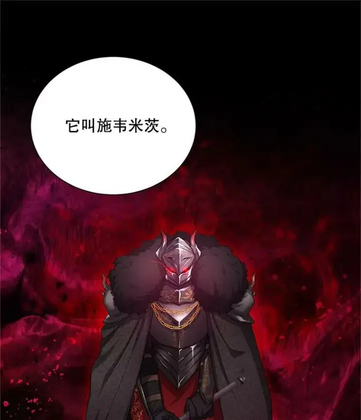 《虚名的公爵之妻》110.总司令现身图27