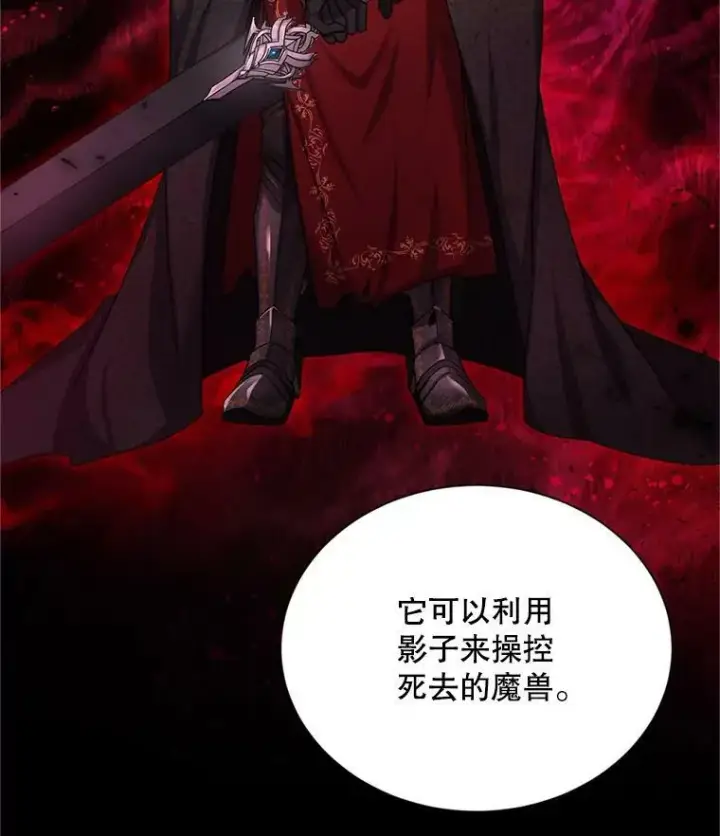 《虚名的公爵之妻》110.总司令现身图28