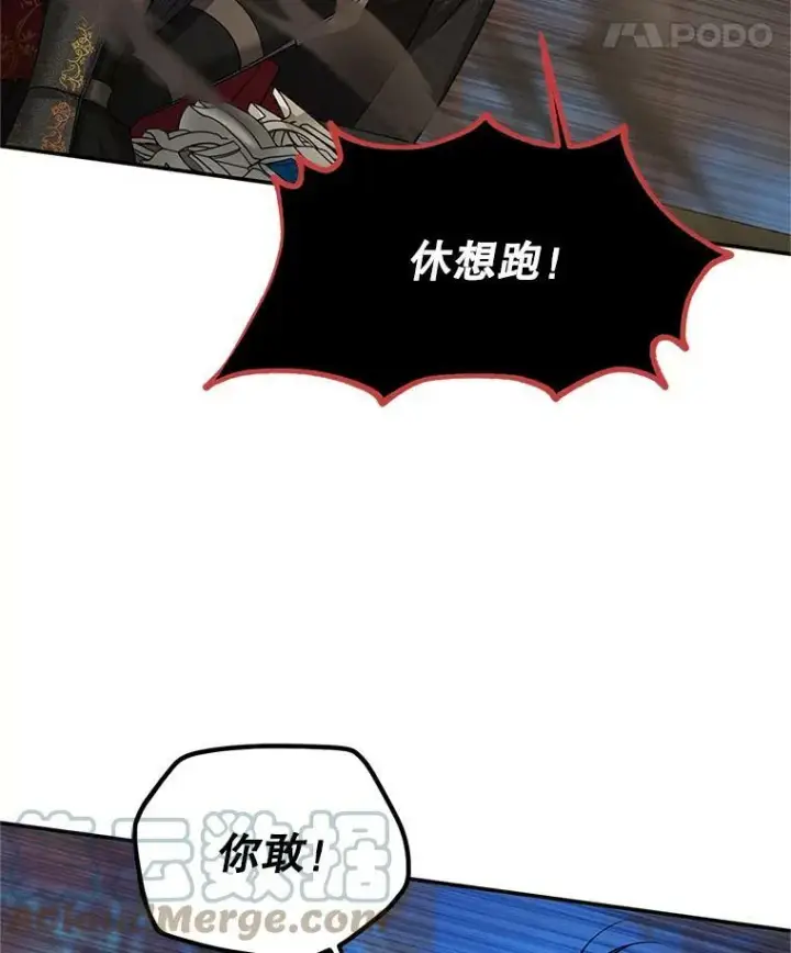 《虚名的公爵之妻》110.总司令现身图65