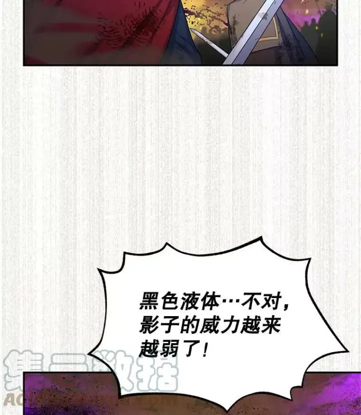 《虚名的公爵之妻》110.总司令现身图81