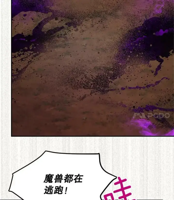 《虚名的公爵之妻》110.总司令现身图82