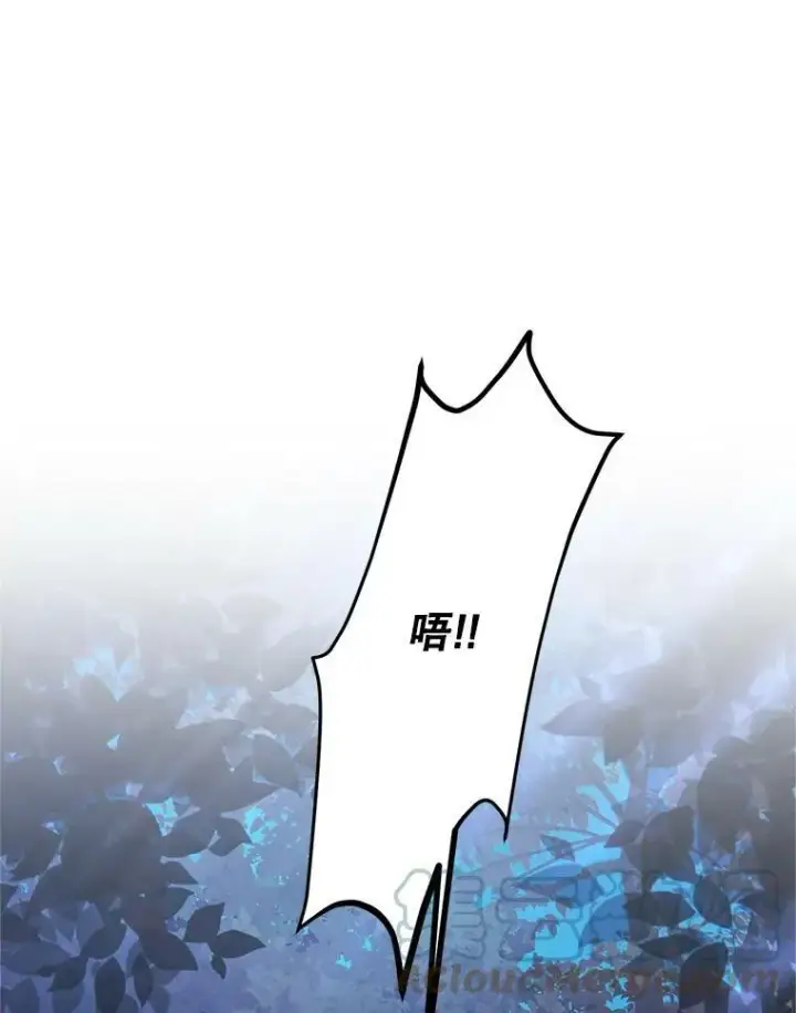 《虚名的公爵之妻》114.神秘人的身份（本季完）图117