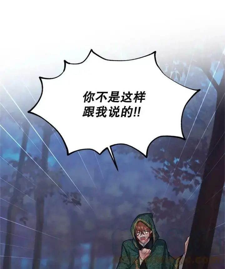 《虚名的公爵之妻》114.神秘人的身份（本季完）图41