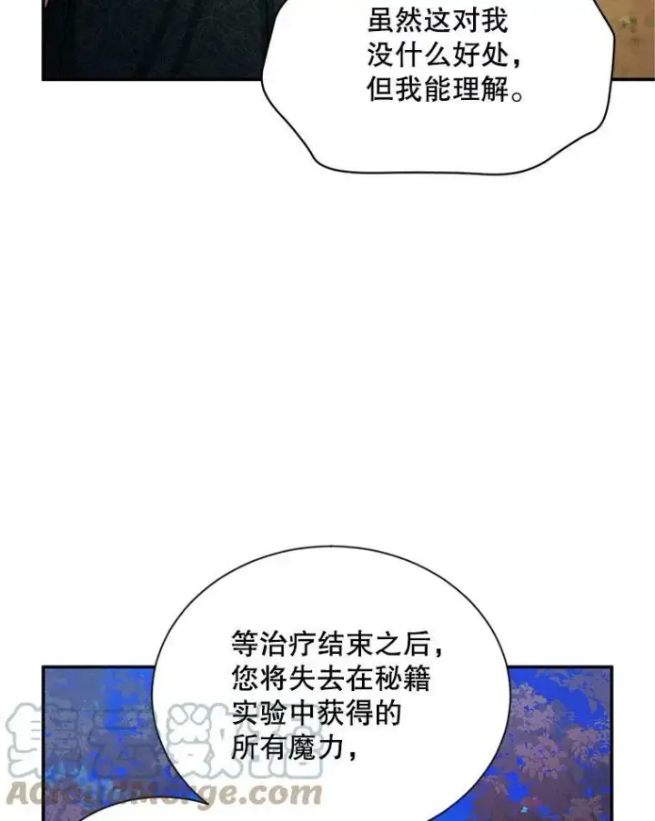 《虚名的公爵之妻》114.神秘人的身份（本季完）图77